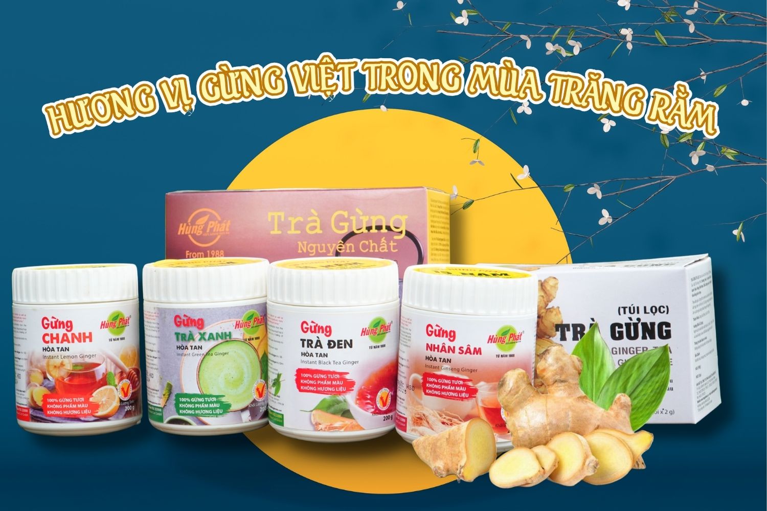 Hương Vị Gừng Việt Trong Mùa Trăng Rằm