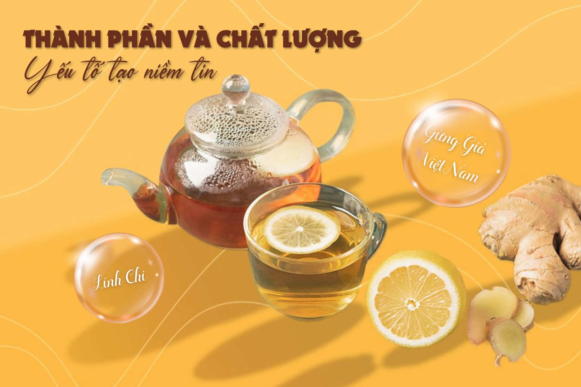 Trà Gừng Hòa Tan Hùng Phát – Hơi Ấm Từ Thiên Nhiên Việt