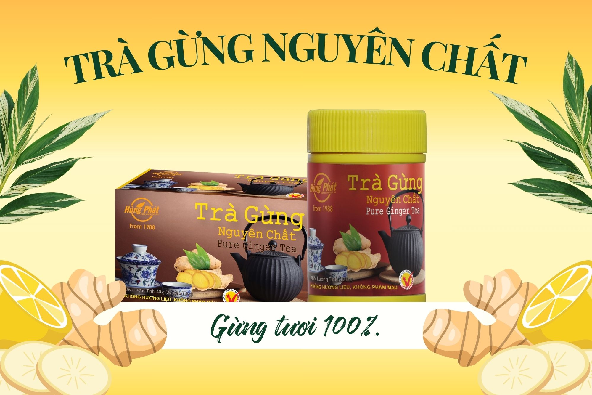 Trà Gừng Nguyên Chất Hùng Phát – Tiện Lợi, Dễ Pha, Dễ Dùng Mỗi Ngày