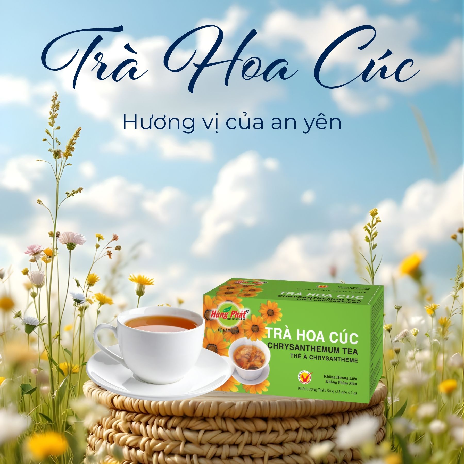 Trà Hoa Cúc – Hành Trình Từ Những Cánh Hoa Vàng Đến Tách Trà An Nhiên