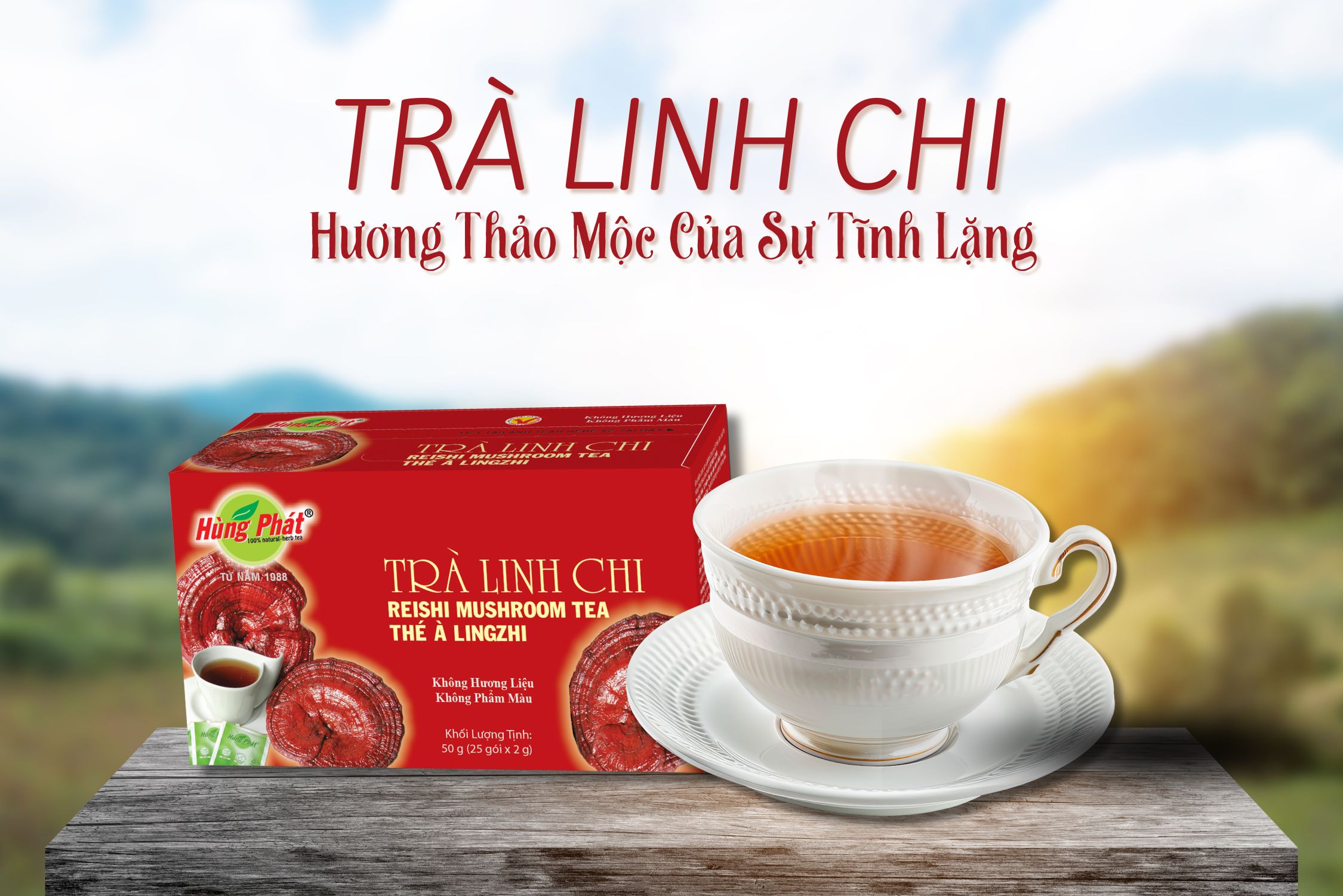 Trà Linh Chi Hùng Phát – Hương Thảo Mộc Của Sự Tĩnh Lặng