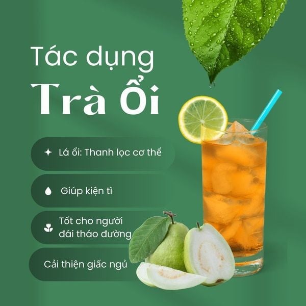 Công Dụng Trà Ổi: Hỗ Trợ Tiêu Hóa Và Kiểm Soát Cân Nặng