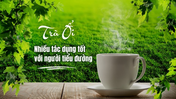 Hương vị tuyệt vời từ trà lá ổi và tác dụng với người tiểu đường
