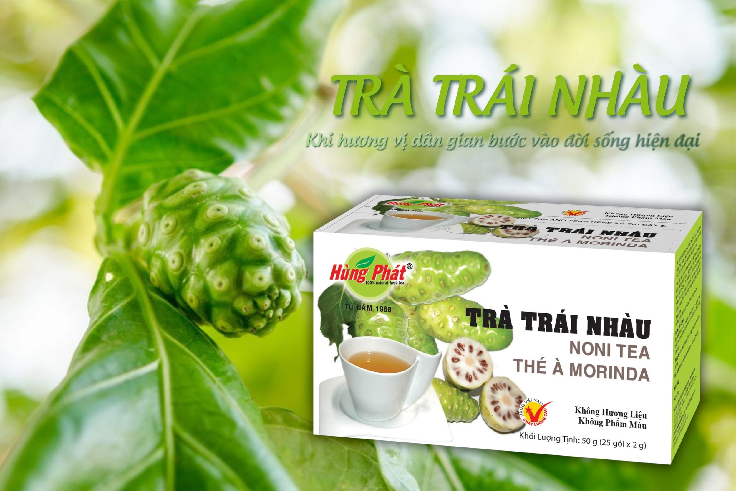 Giải Mã Vẻ Đẹp Giác Quan Của Trà Trái Nhàu