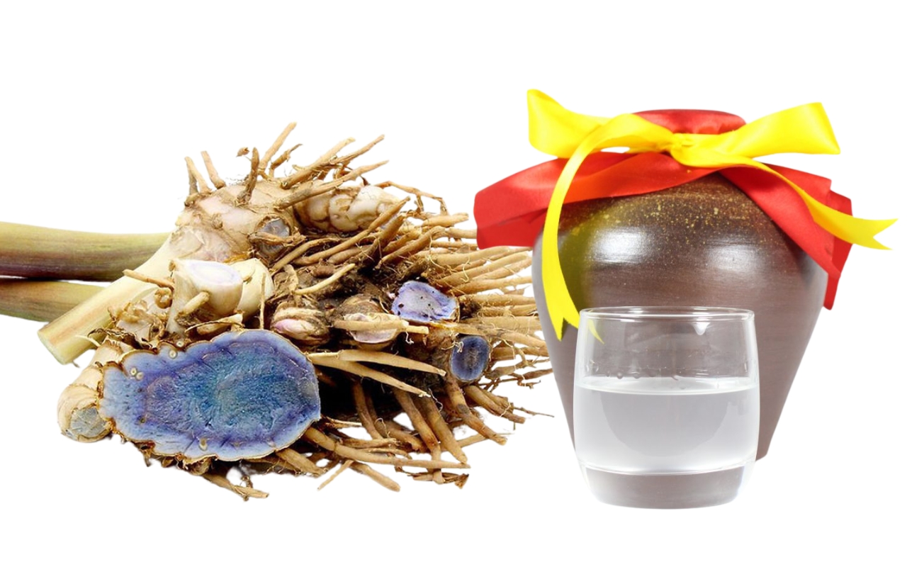 Tác Dụng Của Gừng Đen Ngâm Rượu - Gừng Đen Ngâm Rượu Tốt Cho Ai?