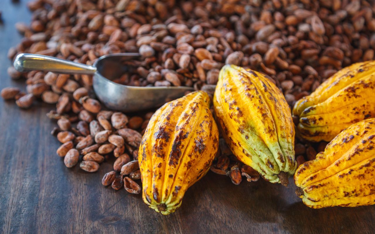 Cách làm cacao sữa nóng ấm áp, chuẩn vị