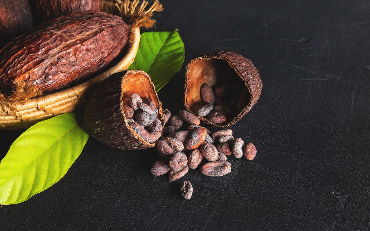 Cacao sữa nóng: Công thức pha chế chuẩn vị