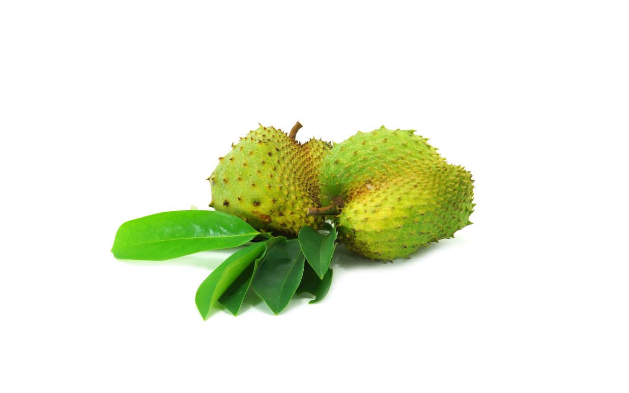 Cách Dùng Trà Mãng Cầu Để Tăng Cường Sức Khỏe