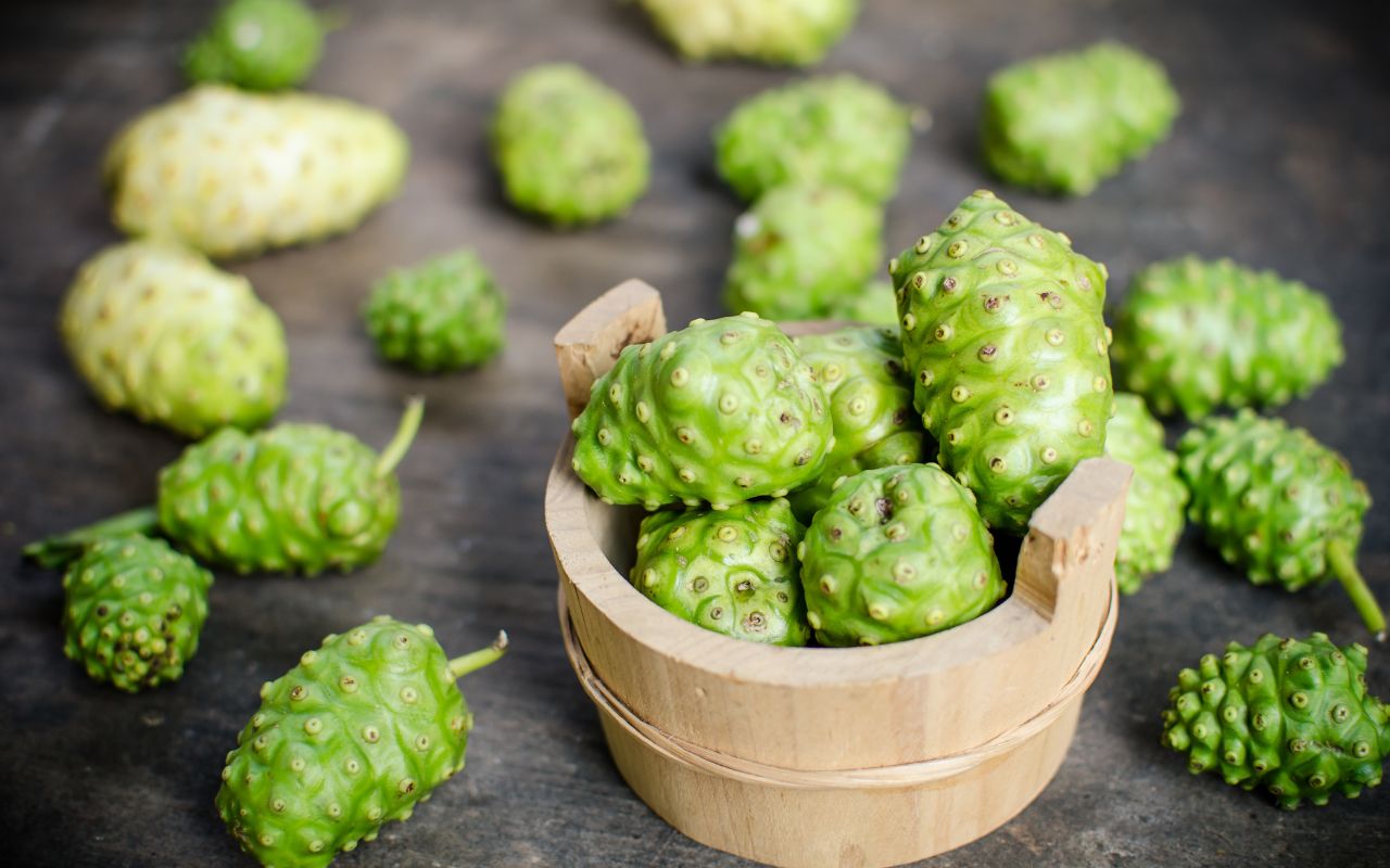 Quả Nhàu: "Thần Dược" Từ Thiên Nhiên Với Công Dụng Ít Ai Ngờ