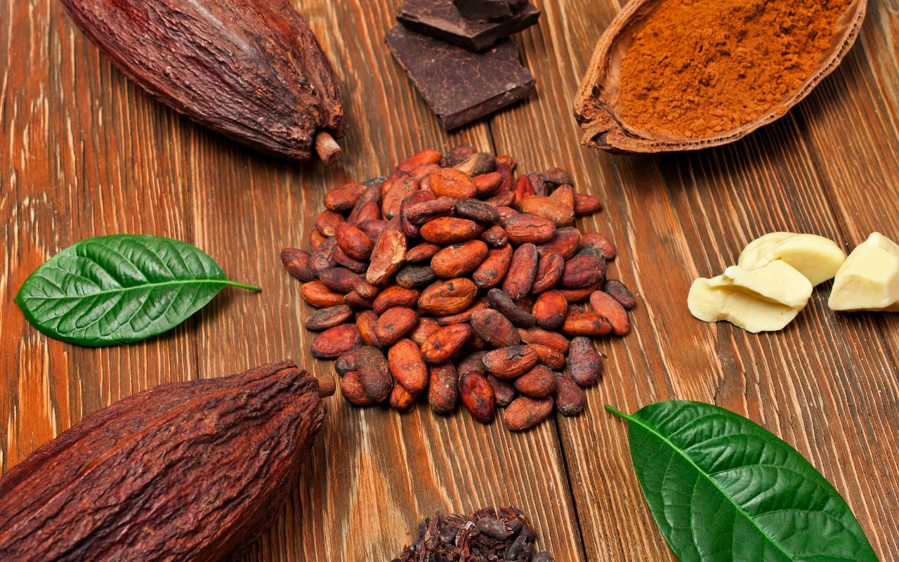 Lợi ích của cacao đối với sức khỏe và vóc dáng
