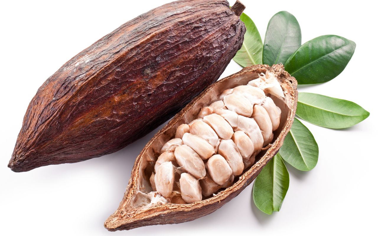 Cacao sữa tươi: Công thức pha chế thơm ngon