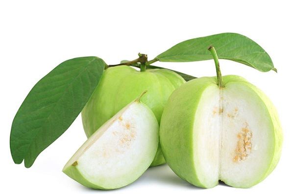 Lá ổi có thực sự giúp giảm mỡ bụng? Cùng tìm hiểu
