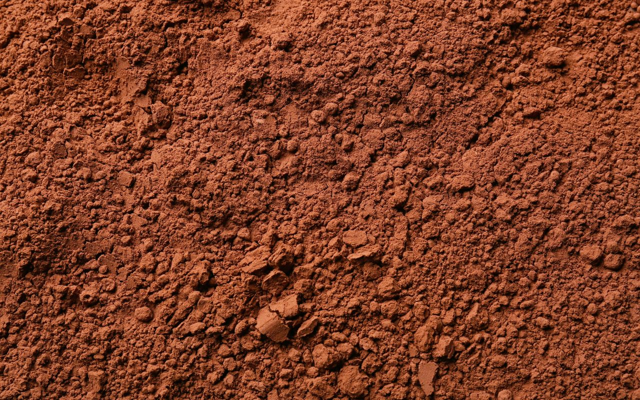 Hướng dẫn pha cacao sữa đá thơm ngon tại nhà