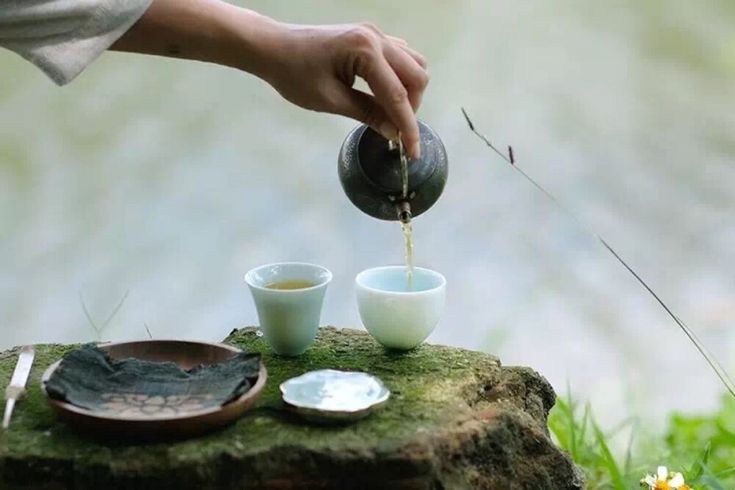 Trà thanh nhiệt có tốt không? Khi nào nên uống để đạt hiệu quả