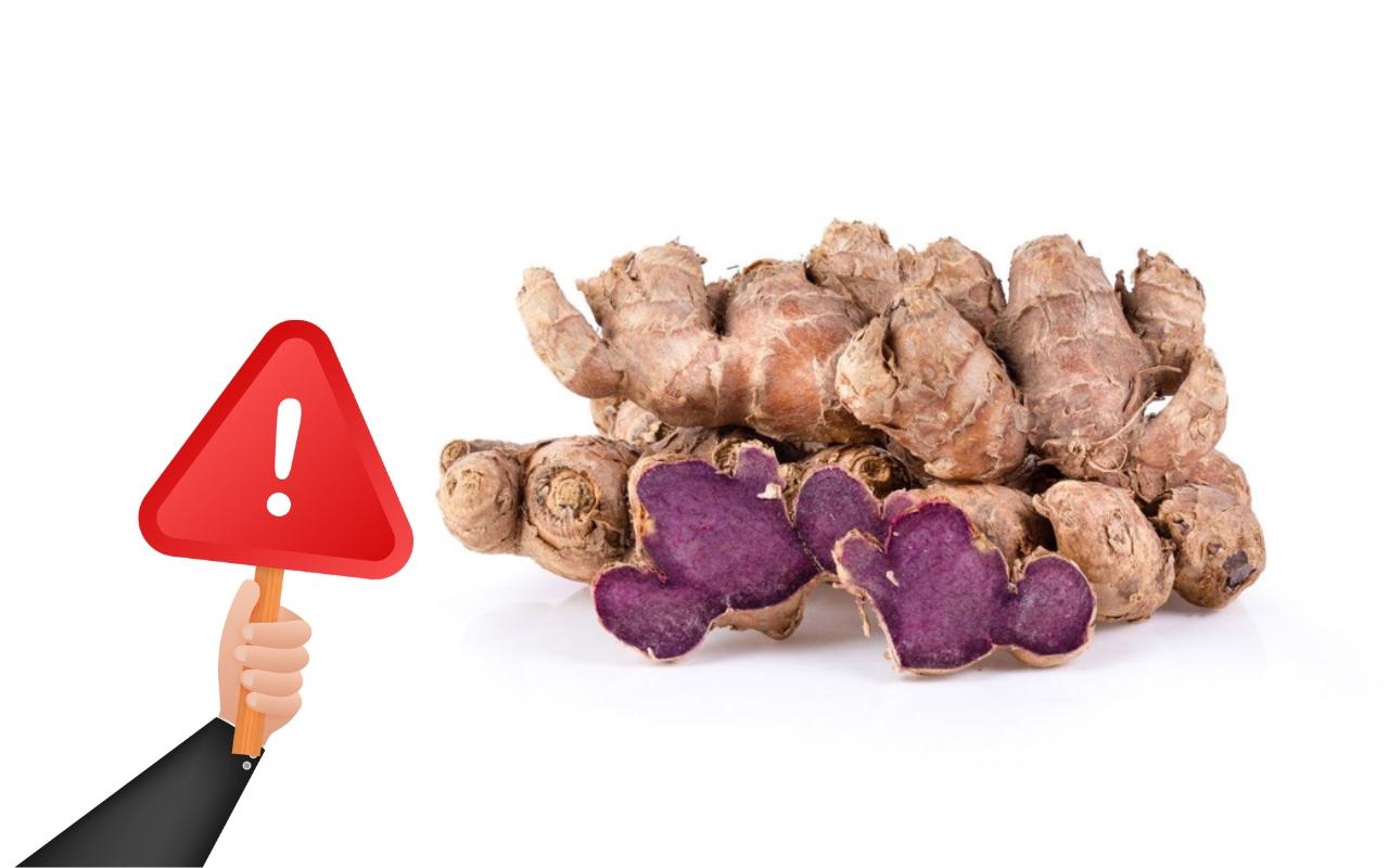 Củ Gừng Đen Có Tác Dụng Gì? - Củ Gừng Đen Hỗ Trợ Sức Khỏe Ra Sao?