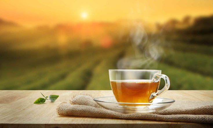 Uống Trà Thanh Nhiệt Có Mất Ngủ Không? Khi Nào Nên Sử Dụng?