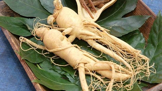 Nhân sâm có tác dụng gì? Bật mí công dụng khiến ai cũng bất ngờ!