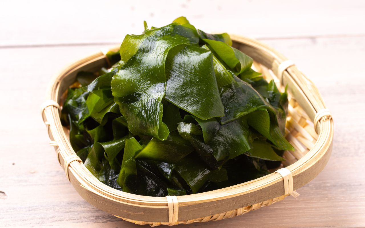 Trà Dulse – Lợi ích sức khỏe từ tảo biển Dulse