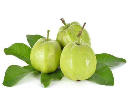 Ổi Có Tác Dụng Gì? Những Lợi Ích Bất Ngờ Từ Quả Ổi