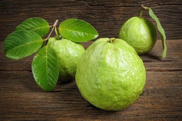 Ổi Có Tác Dụng Gì? Những Lợi Ích Bất Ngờ Từ Quả Ổi