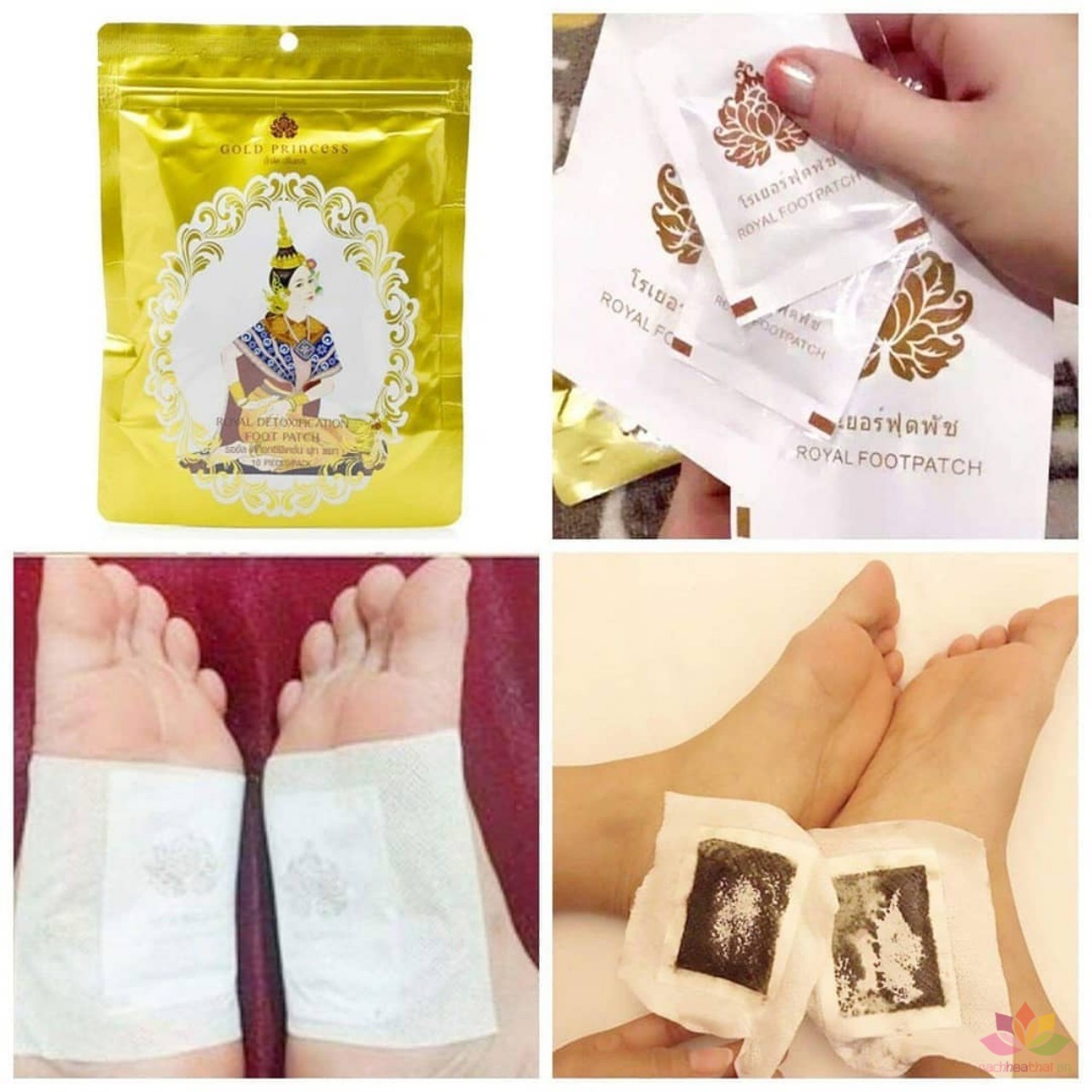 THẢI ĐỘC CHÂN THÁI ( LAVENDER/GỪNG/THẢO MỘC) - M05