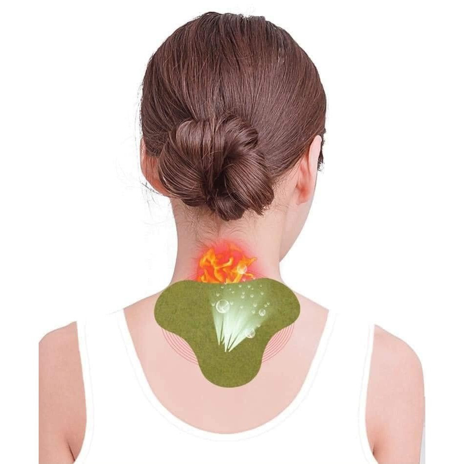 3 DÁN NGẢI CỨU - V229A