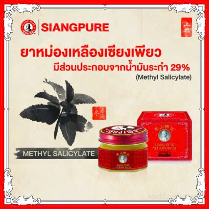 DẦU CÙ LÀ ÔNG GIÀ - M207