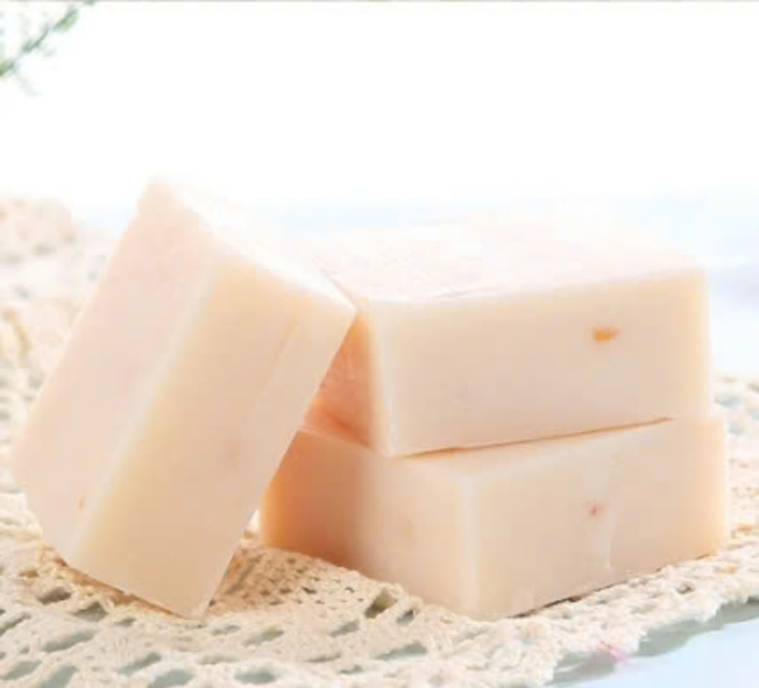 LỐC XÀ BÔNG CÁM GẠO - M78