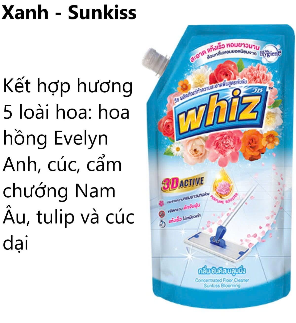 LAU SÀN WHIZ - M36