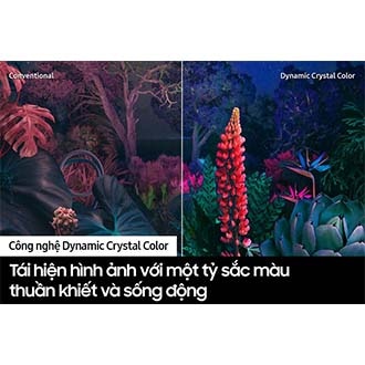Smart Tivi Crystal UHD 4K CU8000