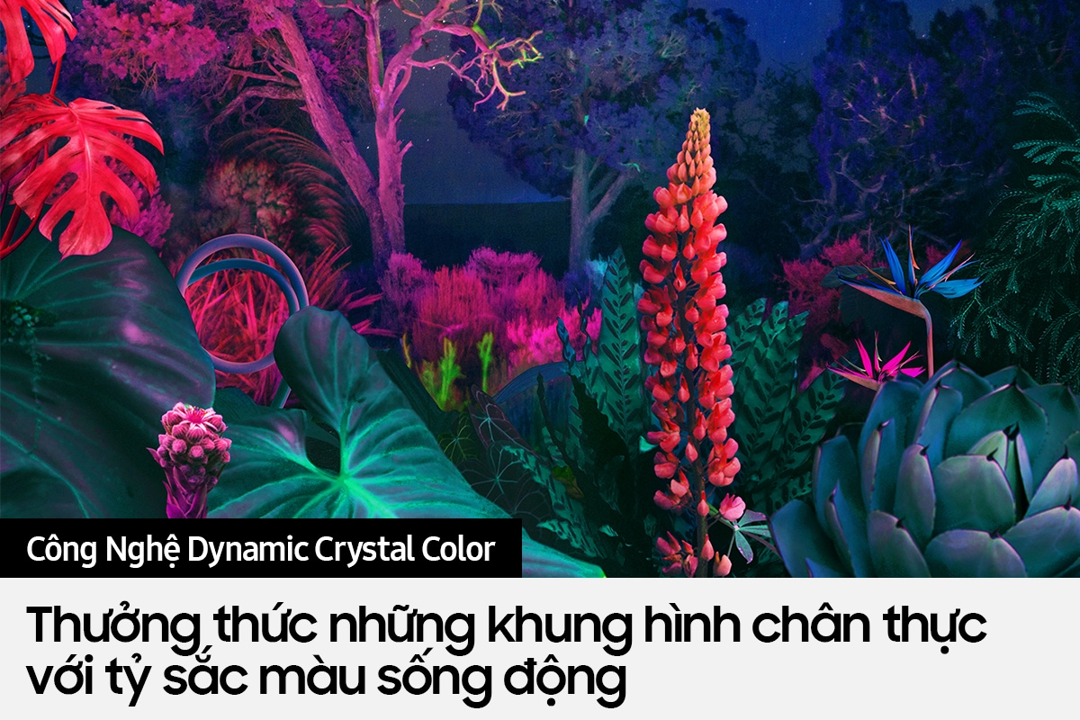 Smart Tivi Crystal UHD 4K BU8000
