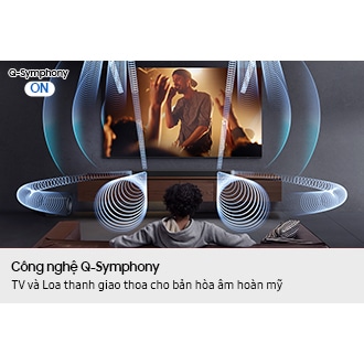 Q-series Soundbar HW-Q990F 11.1.4 ch Subwoofer & Rear Speaker (2025)