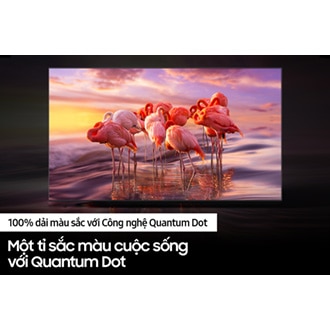 Smart Tivi QLED 4K Q60B