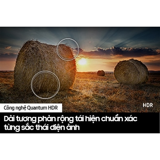 Smart Tivi QLED 4K QE1C
