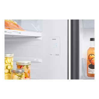 RT6300C Top Mount Freezer Refrigerators with Bespoke Design