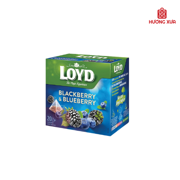Trà trái cây Loyd 40g