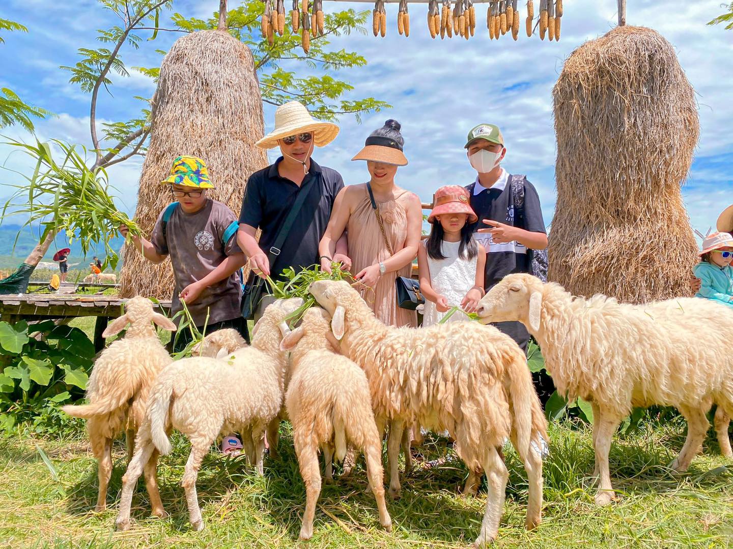 CẦN THƠ - NHA TRANG - ĐỒNG CỪU - VƯỜN NHO - VINPEAR HARBOUR  3 NGÀY 3 ĐÊM