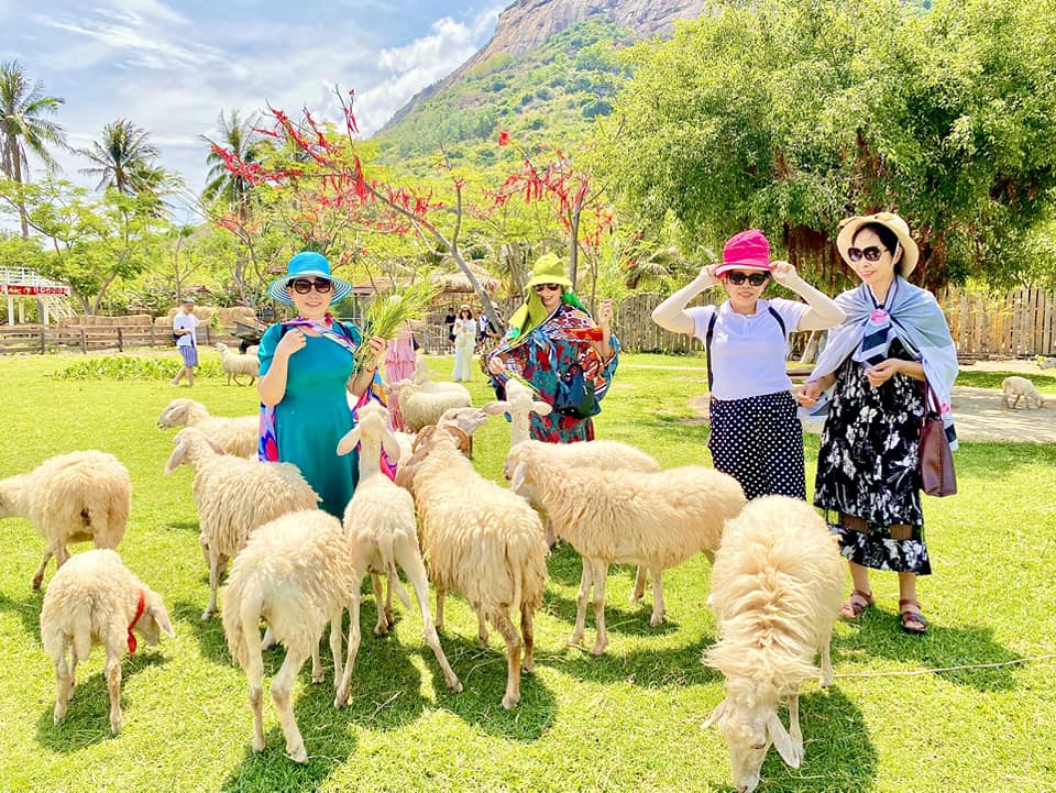 CẦN THƠ - NHA TRANG - ĐỒNG CỪU - VƯỜN NHO - VINPEAR HARBOUR  3 NGÀY 3 ĐÊM