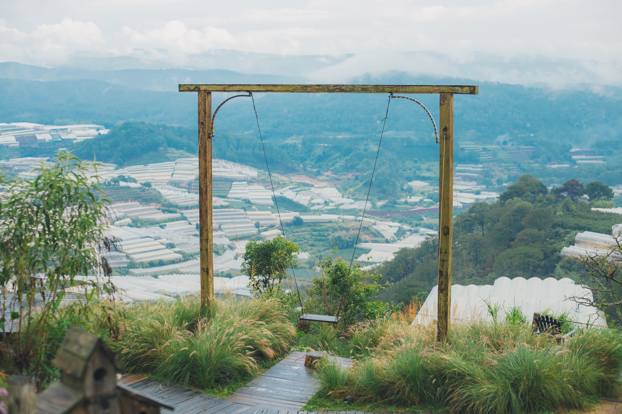 CẦN THƠ - ĐÀ LẠT - GOD VALLEY - CAO NGUYÊN HOA ĐÀ LẠT  - PUPPY FARM - CAFE XÓM LÈO 3 NGÀY 3 ĐÊM