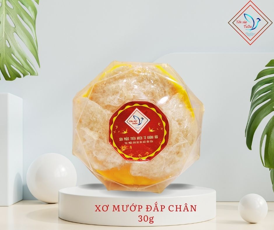 TỔ YẾN XƠ ĐẮP CHÂN