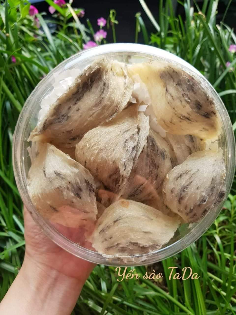 TỔ YẾN THÔ