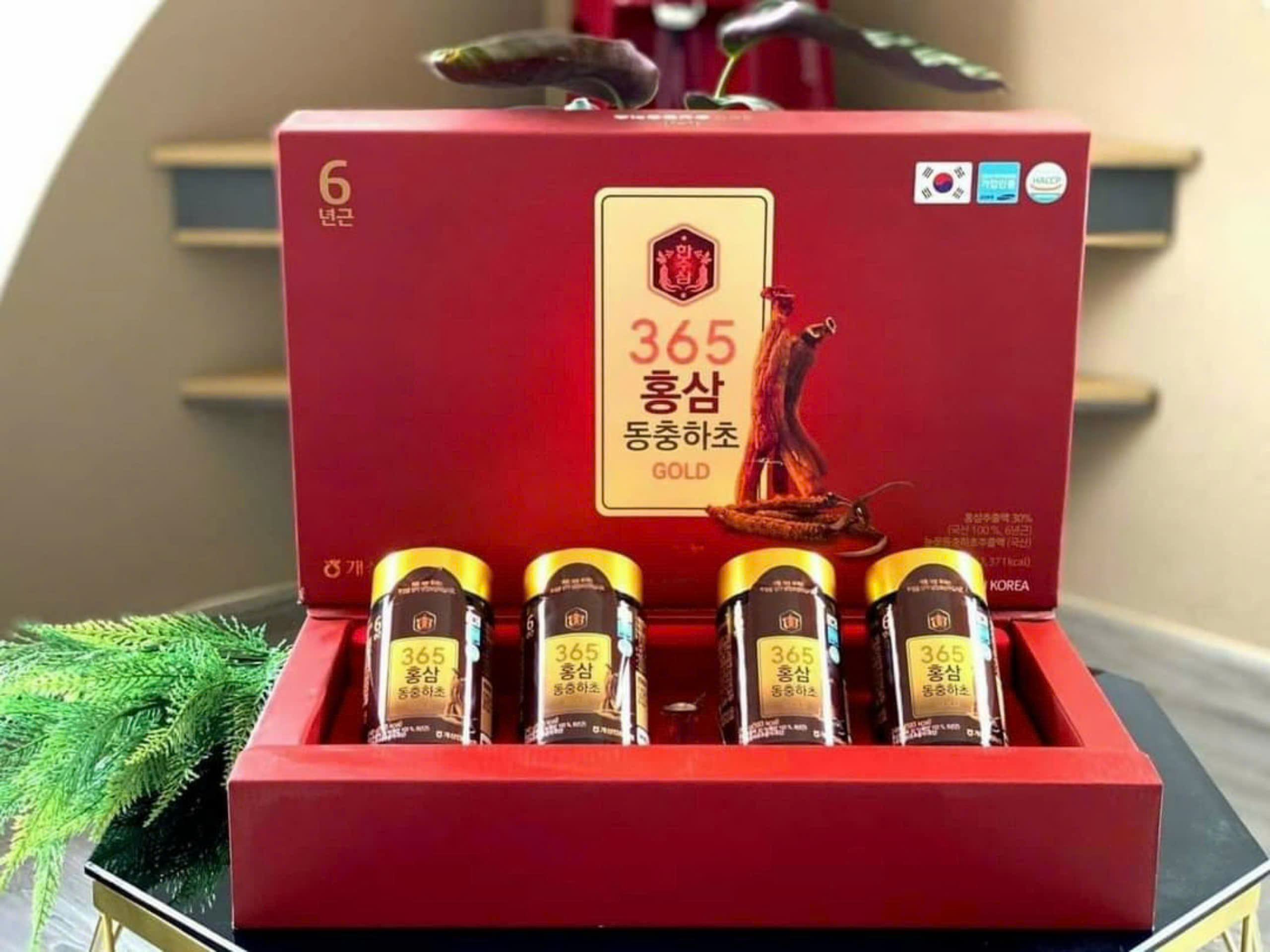 Cao hồng sâm đông trùng HANSUSAM 365 ( Hộp 2 lọ và hộp 4 lọ x 240g )
