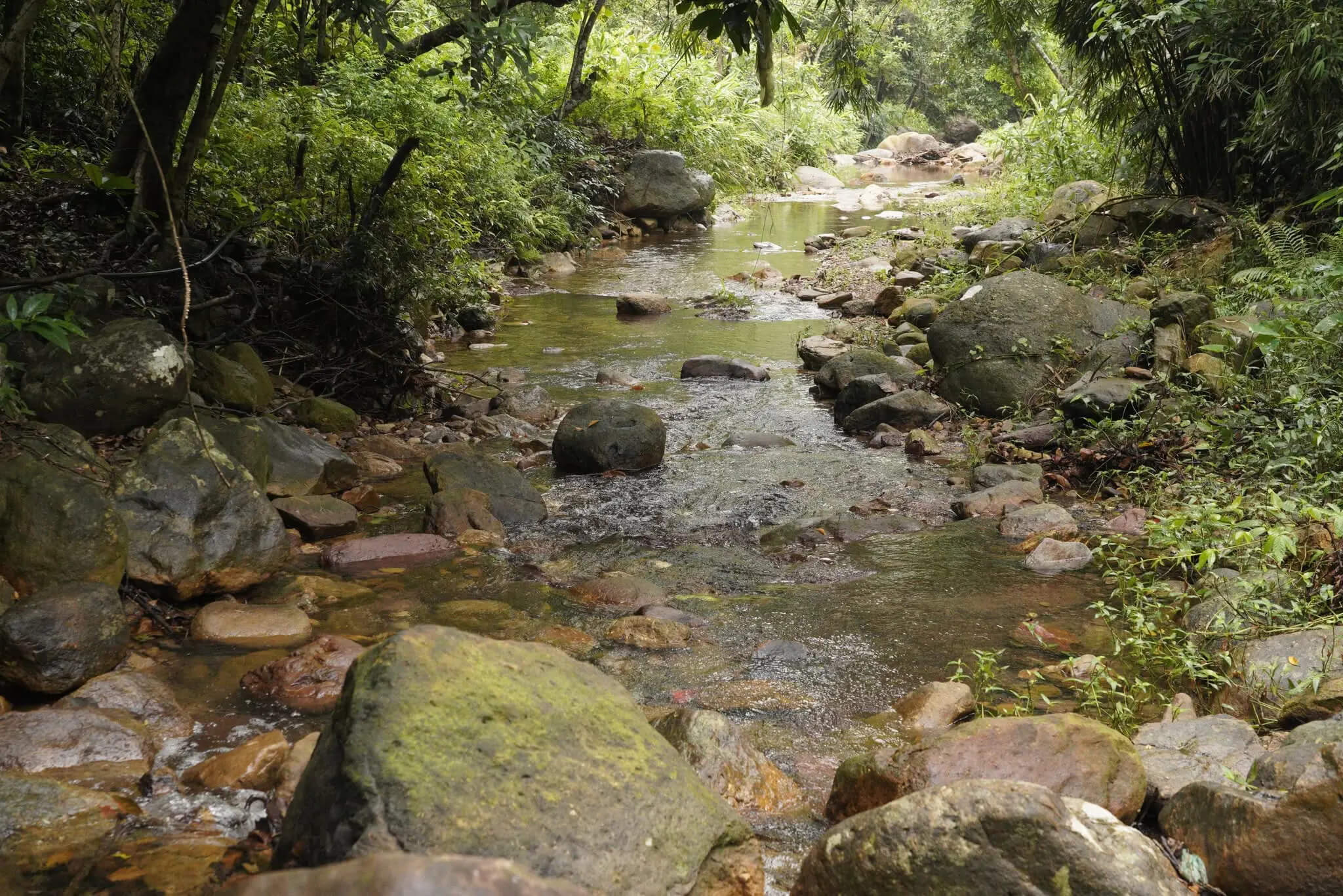 Ngoa Van Tour (2 Days 1 Night) | A Touch of the Sacred Mountain – A Lifetime of Peace