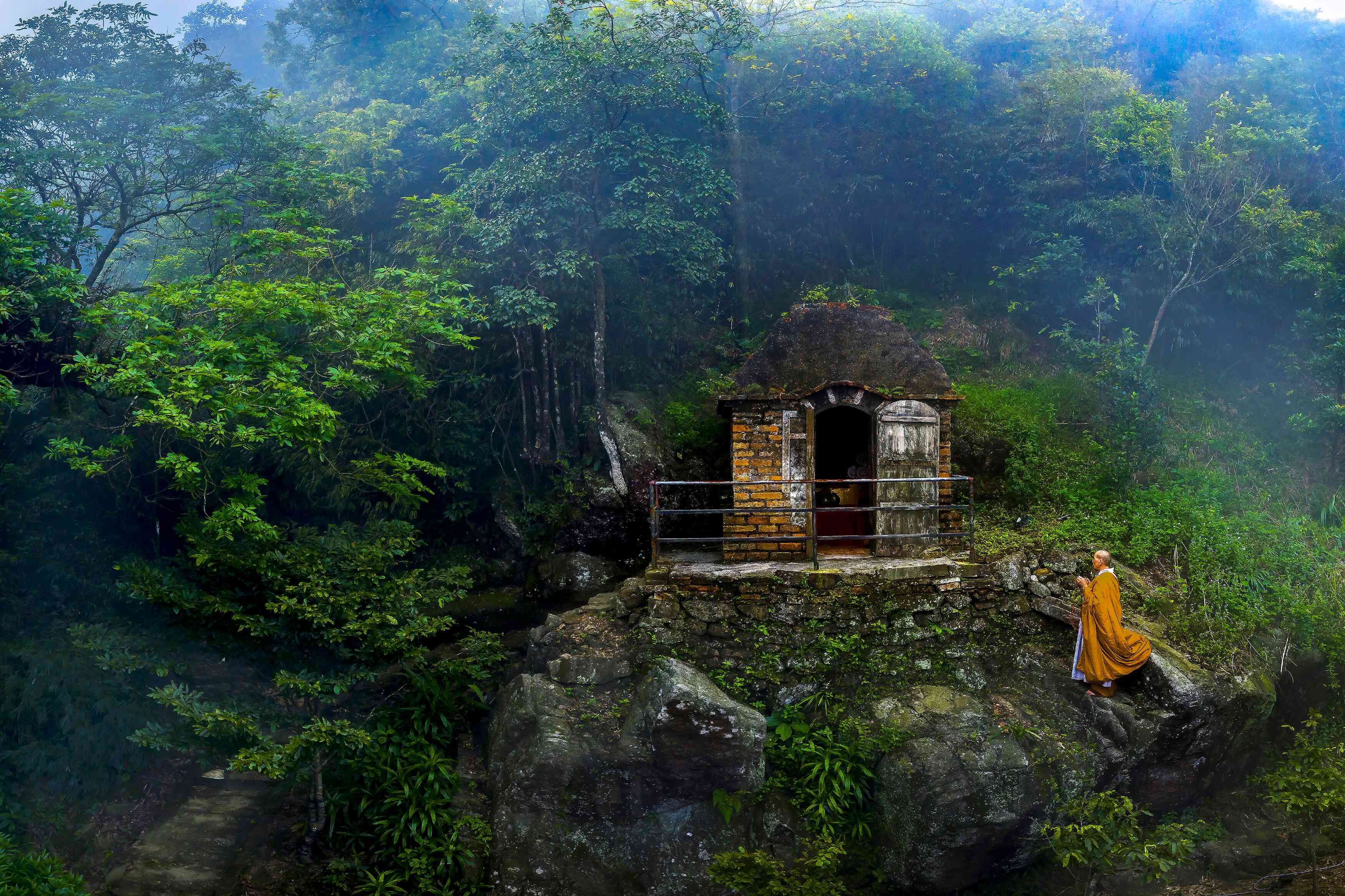 Awarded photos in the Photo contest in 2020