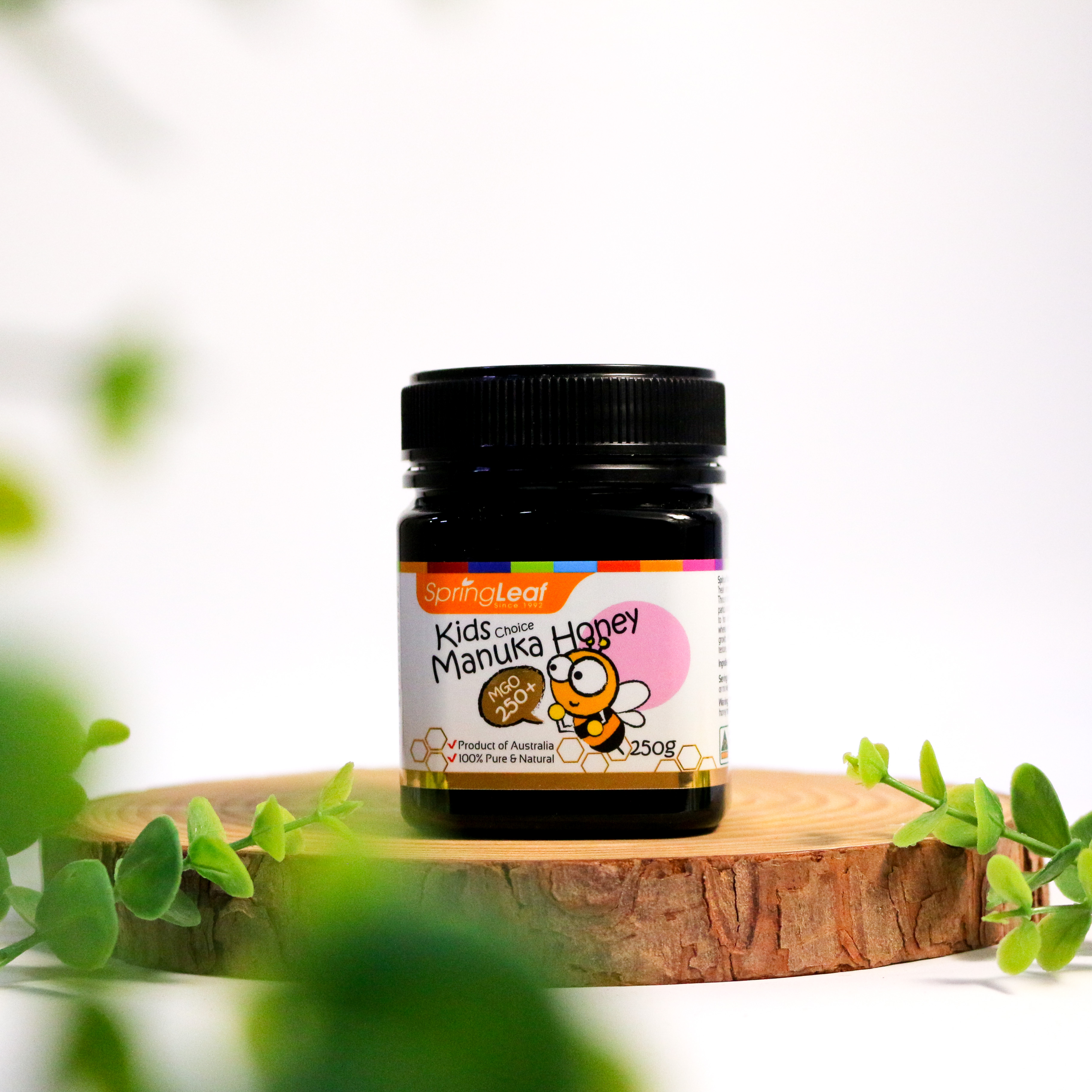 Springleaf Manuka Honey kids choice MGO 250+ mật ong em bé 250g (10/29)