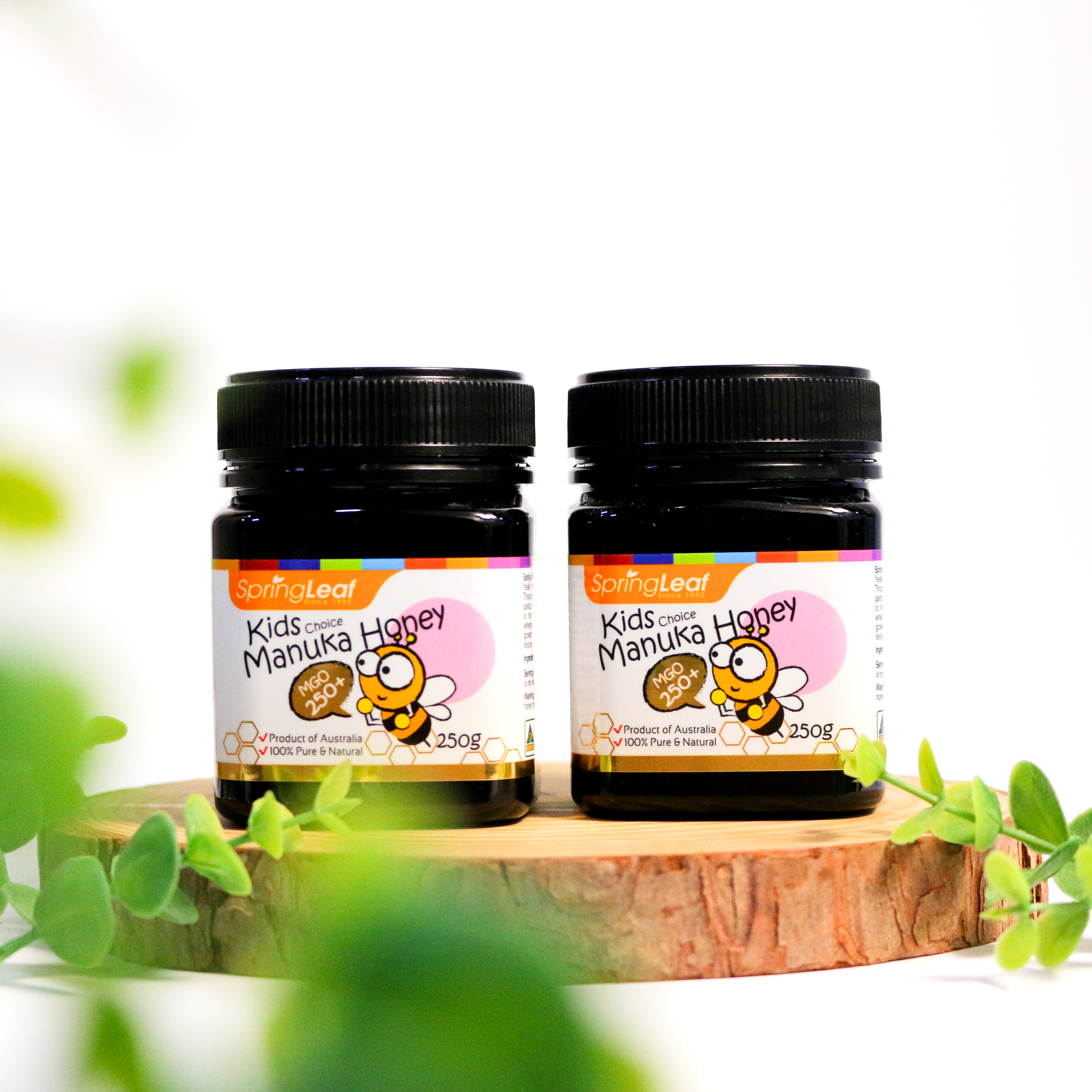 Springleaf Manuka Honey kids choice MGO 250+ mật ong em bé 250g (10/29)