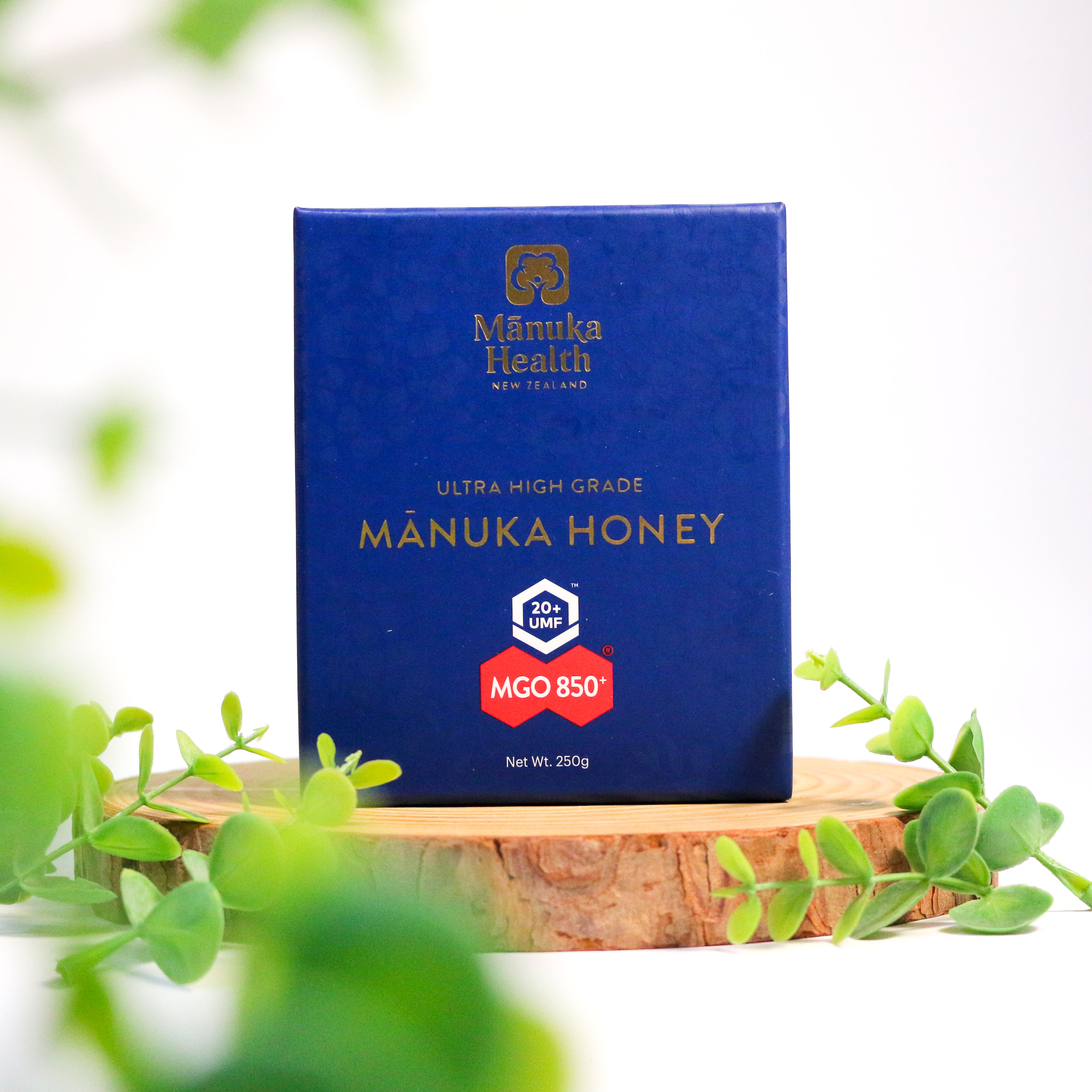 Manuka health manuka honey MGO 850+ mật ong hỗ trợ các bệnh lý nặng 250g (03/27)
