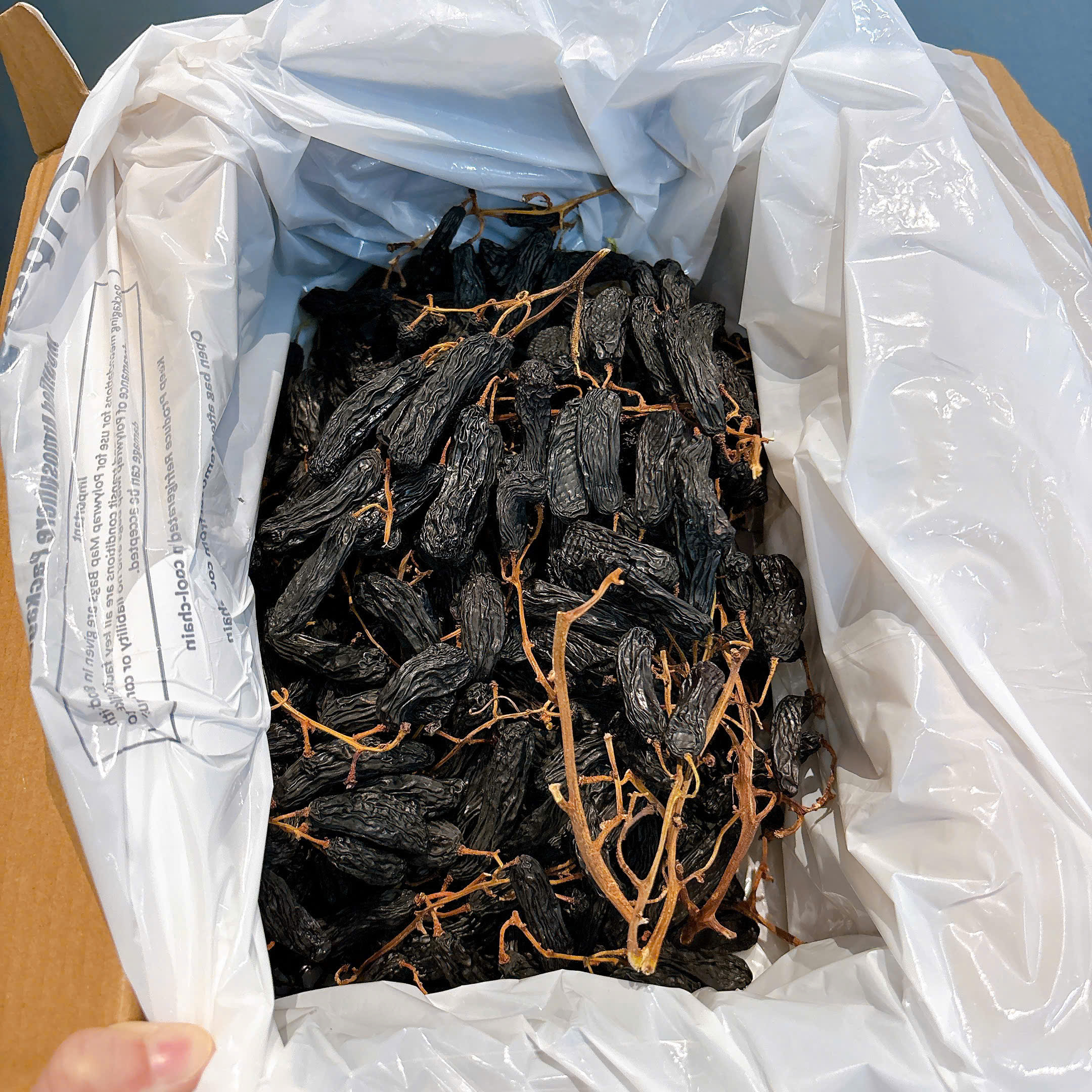 Little Gemz dried table grape clusters nho khô móng tay Úc 1kg