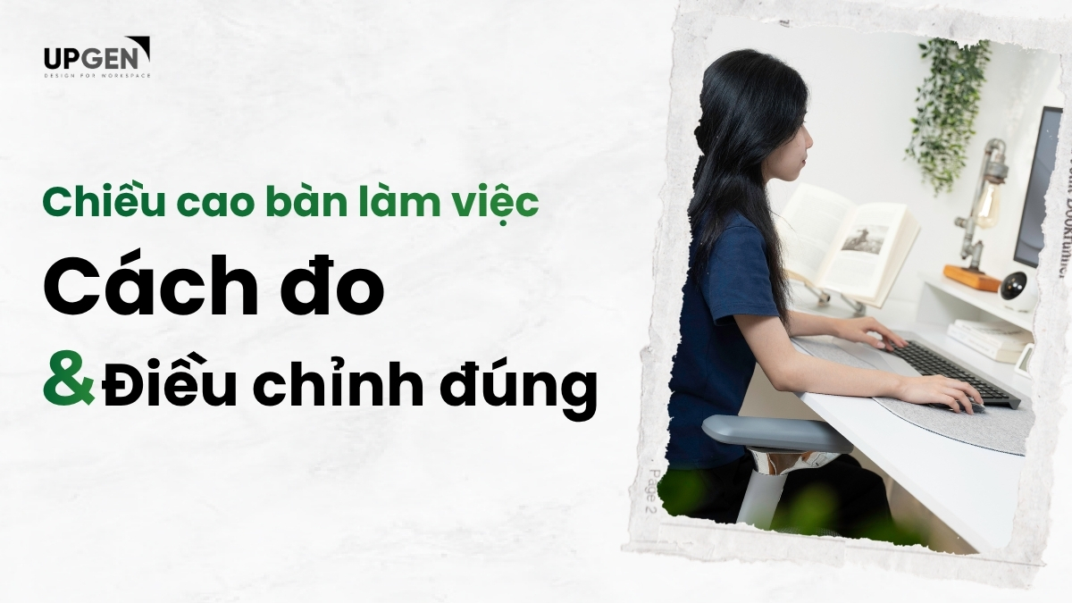Chiều Cao Bàn Làm Việc Chuẩn Là Bao Nhiêu? Cách Đo Và Điều Chỉnh Đúng