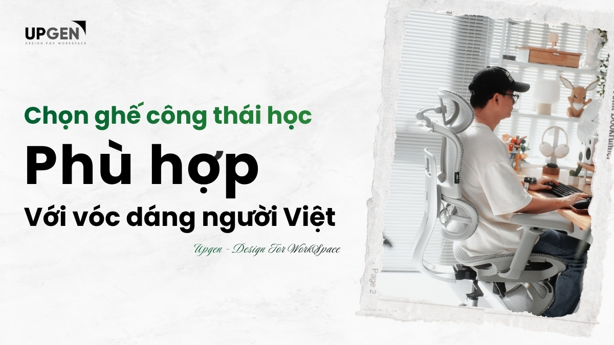 Cách Chọn Ghế Công Thái Học Theo Vóc Dáng Người Việt